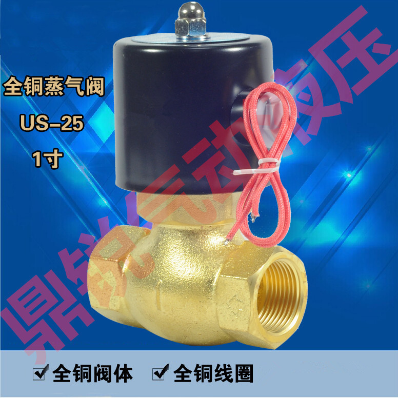 4分全铜线圈蒸汽电磁阀 蒸气阀 2L170-15 AC220V DC24V  US-15