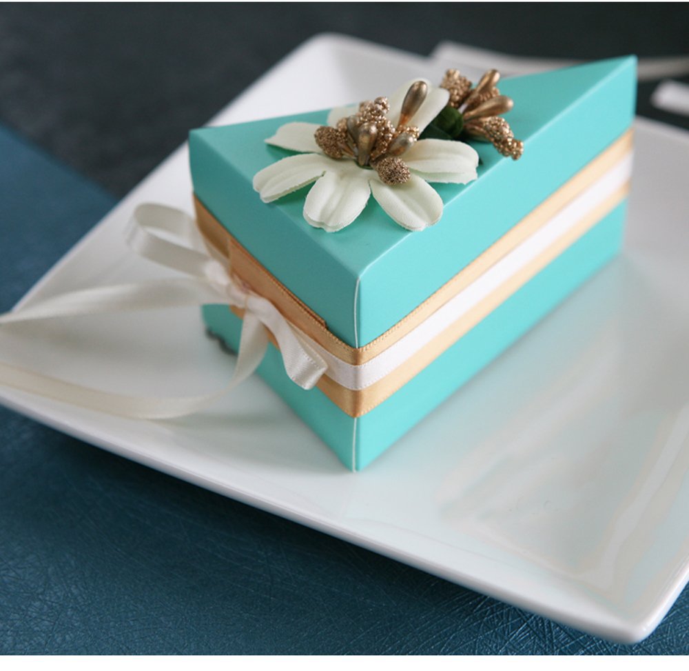 61V+0aSB3xL._SL1000_