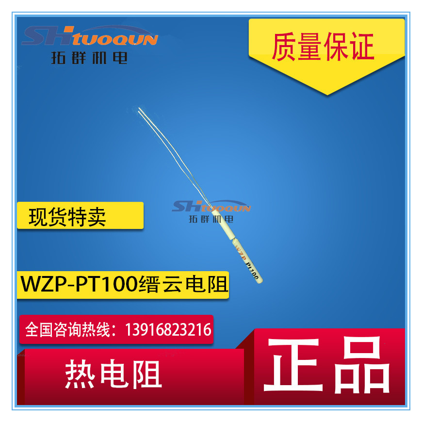 缙云陶瓷铂热电阻探头 测温感温芯子片 温度传感器WZP-PT100