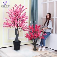 工厂店塑料仿真 花摆件室内假树装饰蝴蝶兰花朵客厅假花套装田园