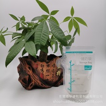 小树苗款壶嘴喷口储奶袋 100ml/120ml/150ml卡通婴儿母乳存奶袋