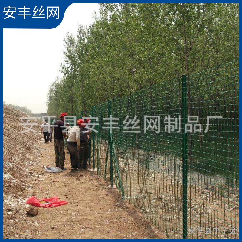 支持定制果园农场养殖网 荷兰网浸塑铁丝护栏网生产量大价优