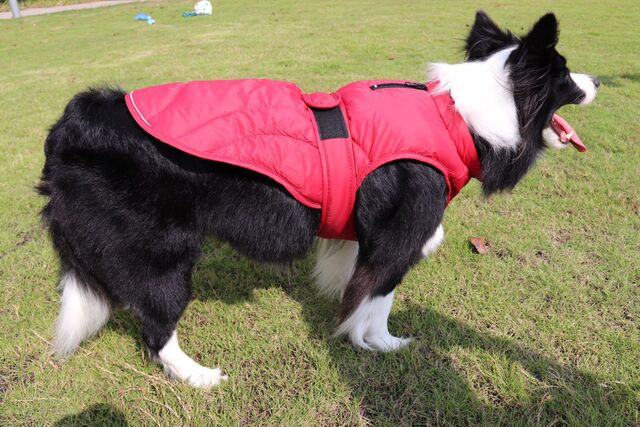 Dog Coat in Black