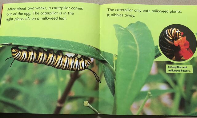 108 Books English Picture Book Geographic Science Gk G1 G2