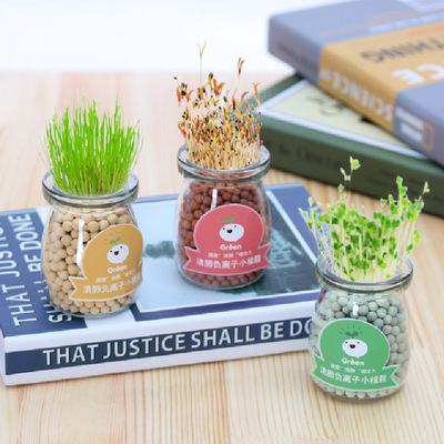 originality diy anion Hydroponics Potted plant Office desktop Hydroponics Mini potted