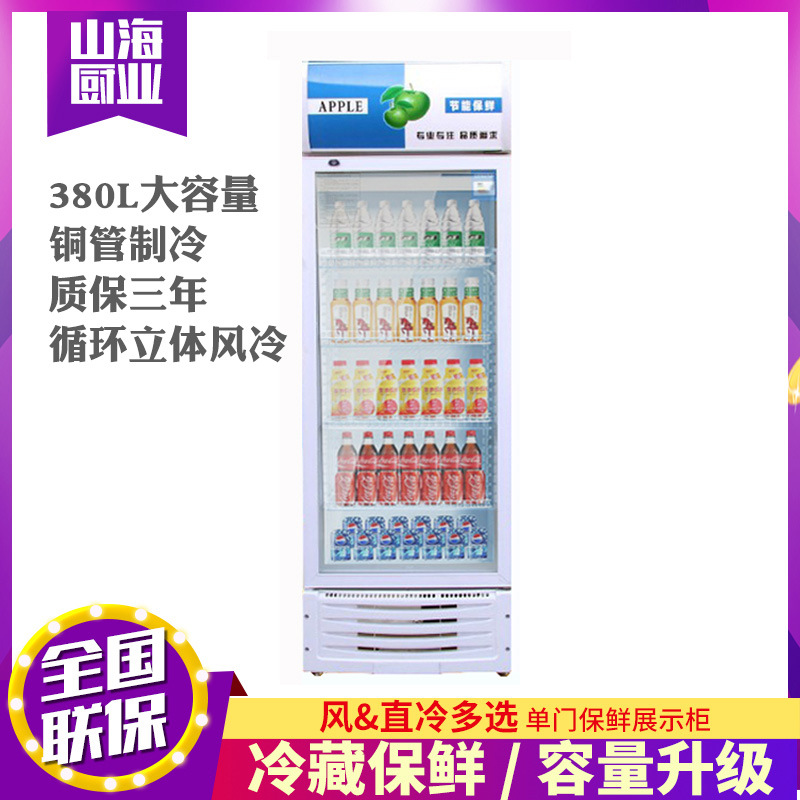 商用饮料展示柜 超市冷藏保鲜柜 便利店冷柜 单门啤酒柜定制|ru