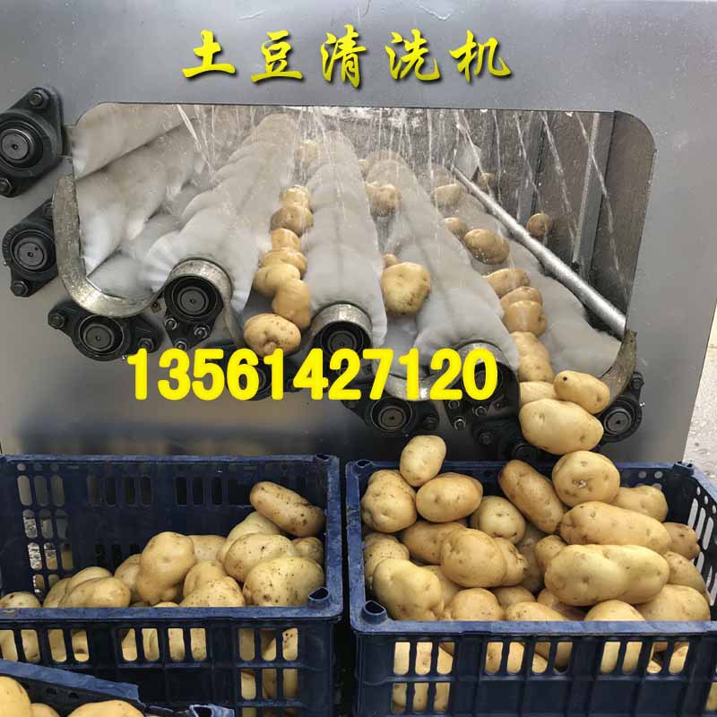 土豆清洗机4