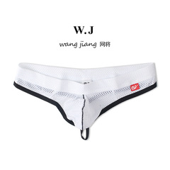 WJ/Online European and American Men's Sexy Ice Silk Breathable Mesh Tanga Underwear Low-Waist Men's Briefs Wholesale