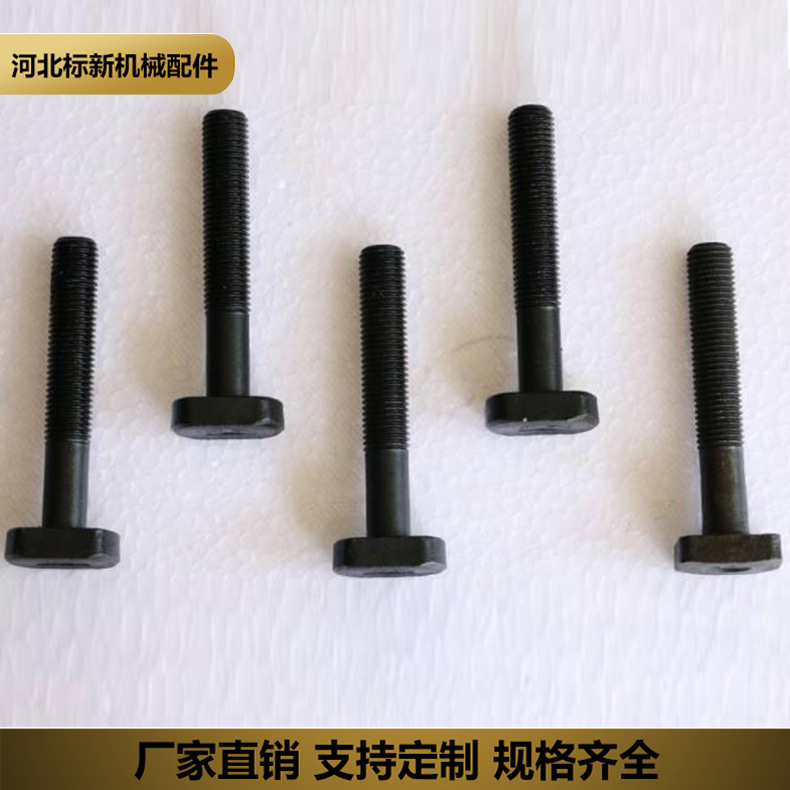 厂家直销 T型螺栓 4.8级热镀锌T型螺丝 m16幕墙预埋件