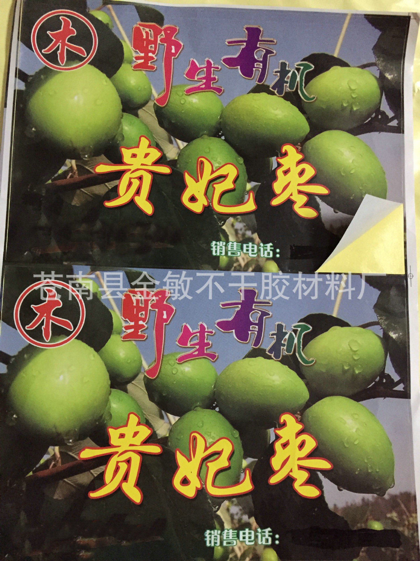 贵妃枣不干胶标签贴纸 水果不干胶标签定制 支持定做