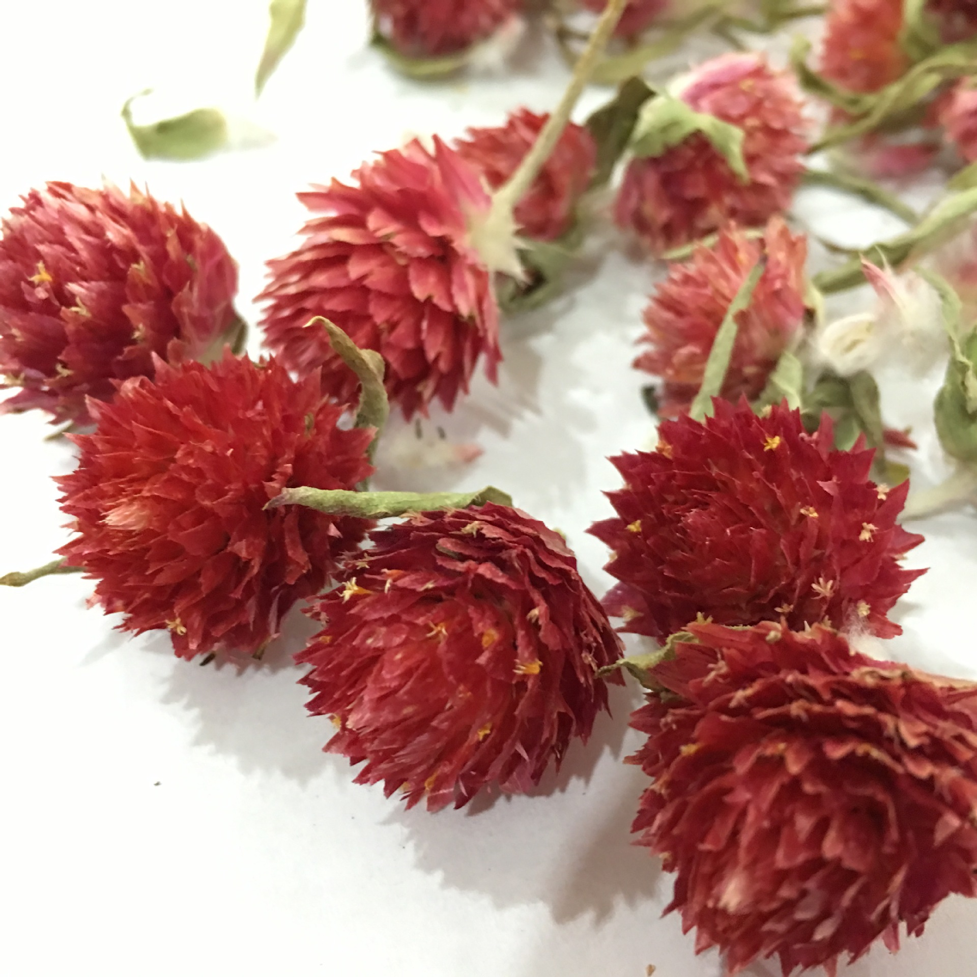 Dried Red Plum Blossom Flower Heads Hong Qiao Mei Loose Herbal Tea and Decorative Dried Flowers 500g key features