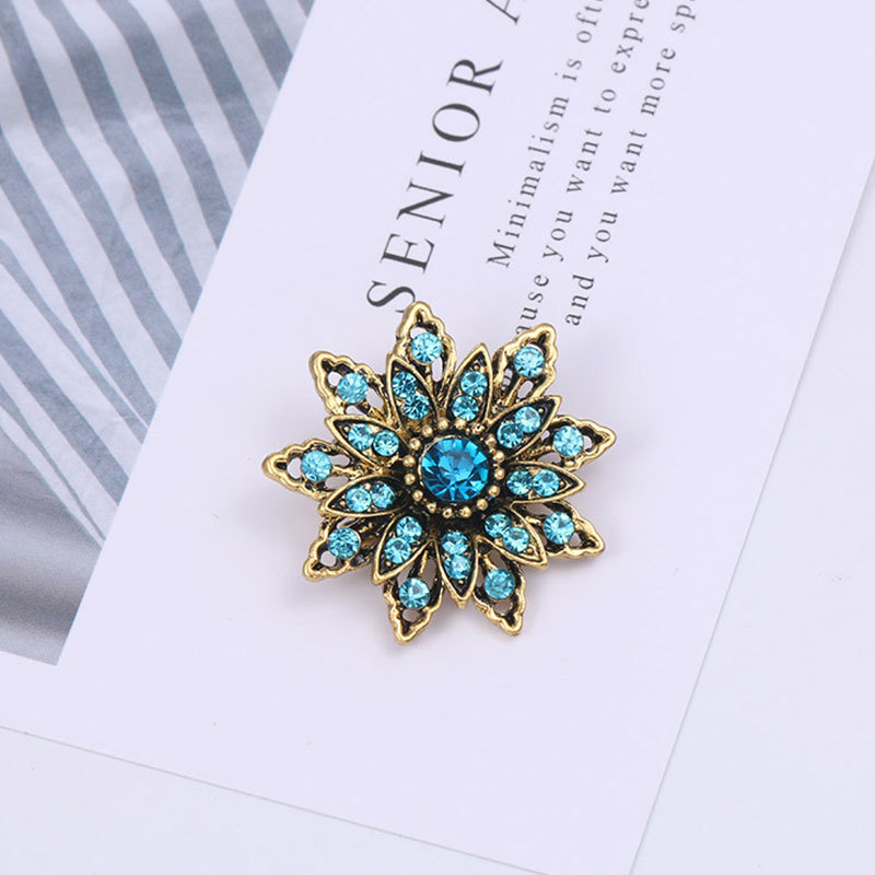 Brooch on Clothes