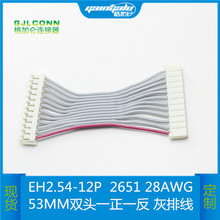 EH2.54-12P红灰排线 2651 28AWG端子线 双头一正一反连接线电子线