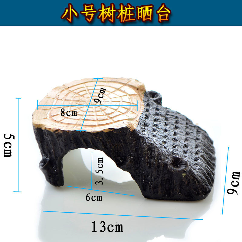 3391445581_1767209755