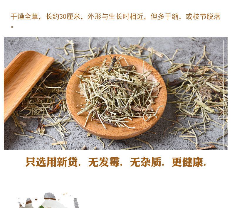 Wen Jing (Equisetum arvense) — Dried Horsetail Herb, Sulfur-Free Bulk 500g key features