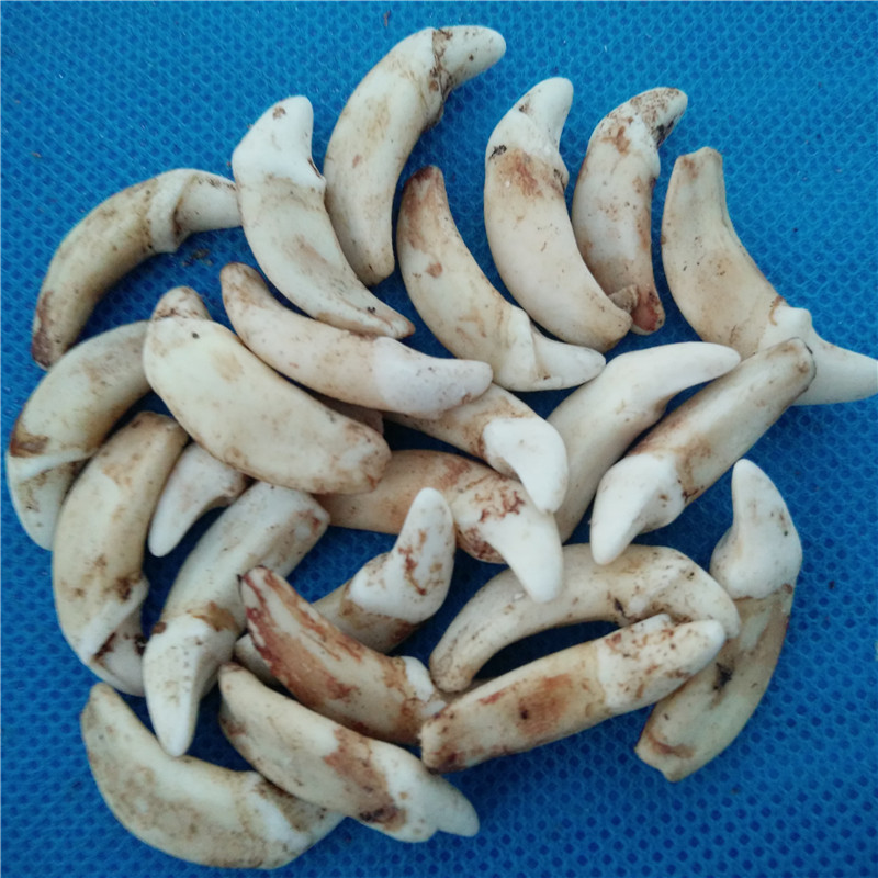 IMG20190215190535_副本