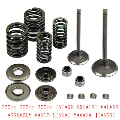 YP250 valve is suitable for Yamaha 250 valve combination Jinlang LH250 ATV Linhai 300 valve kit (Motorcycle engine and accessories)