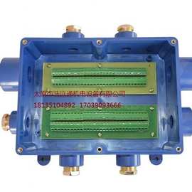 JHH-8通10对本安电路用接线盒JHH-8(A)矿用本安接线盒 防爆接线盒