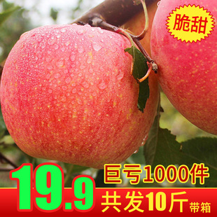 Хрустящие красные Fuji Apple Freshy Fruit Shaanxi Apple 10 фунтов каменного сахарного сердца уродливое лошуанское яблочное оптом