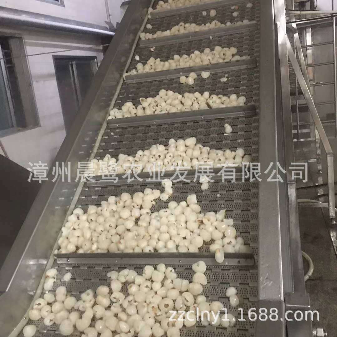 速冻荔枝肉 供应冷冻果蔬 速冻水果 厂家 速冻果蔬-阿里巴巴