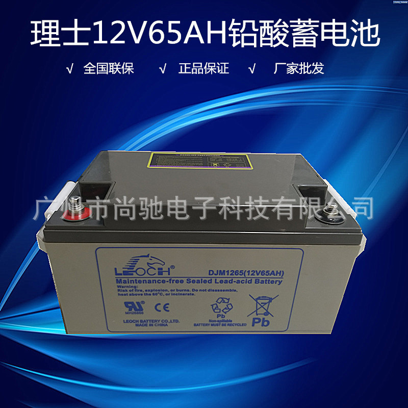Djm1265 leoch аккумулятор