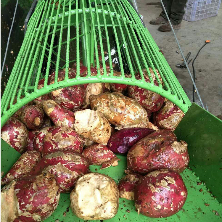 TB2PzcNXBvBIuJjSszhXXX8ZFXa_!!