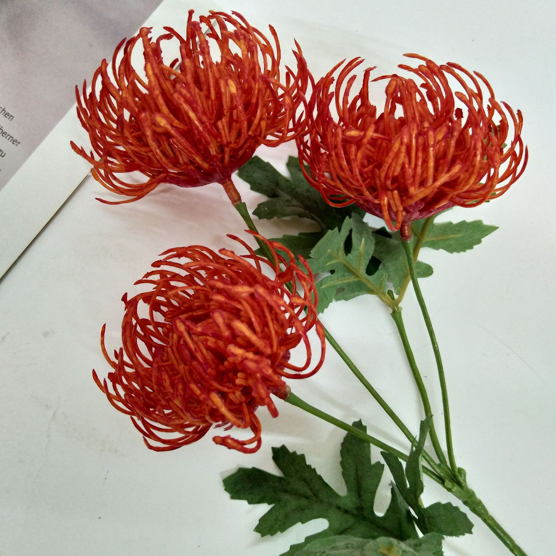 微信图片_201906061147151