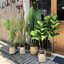 ���W���ͷ���������������辰���˽��Ž��~�ҾӾƵ��b�������