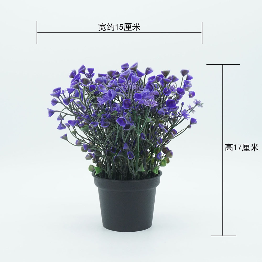 尺寸.jpg