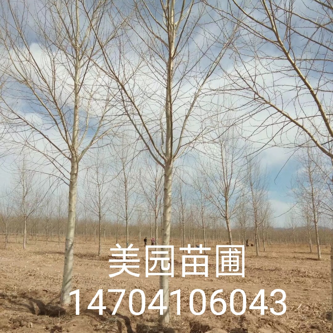 微信图片_20190314161712