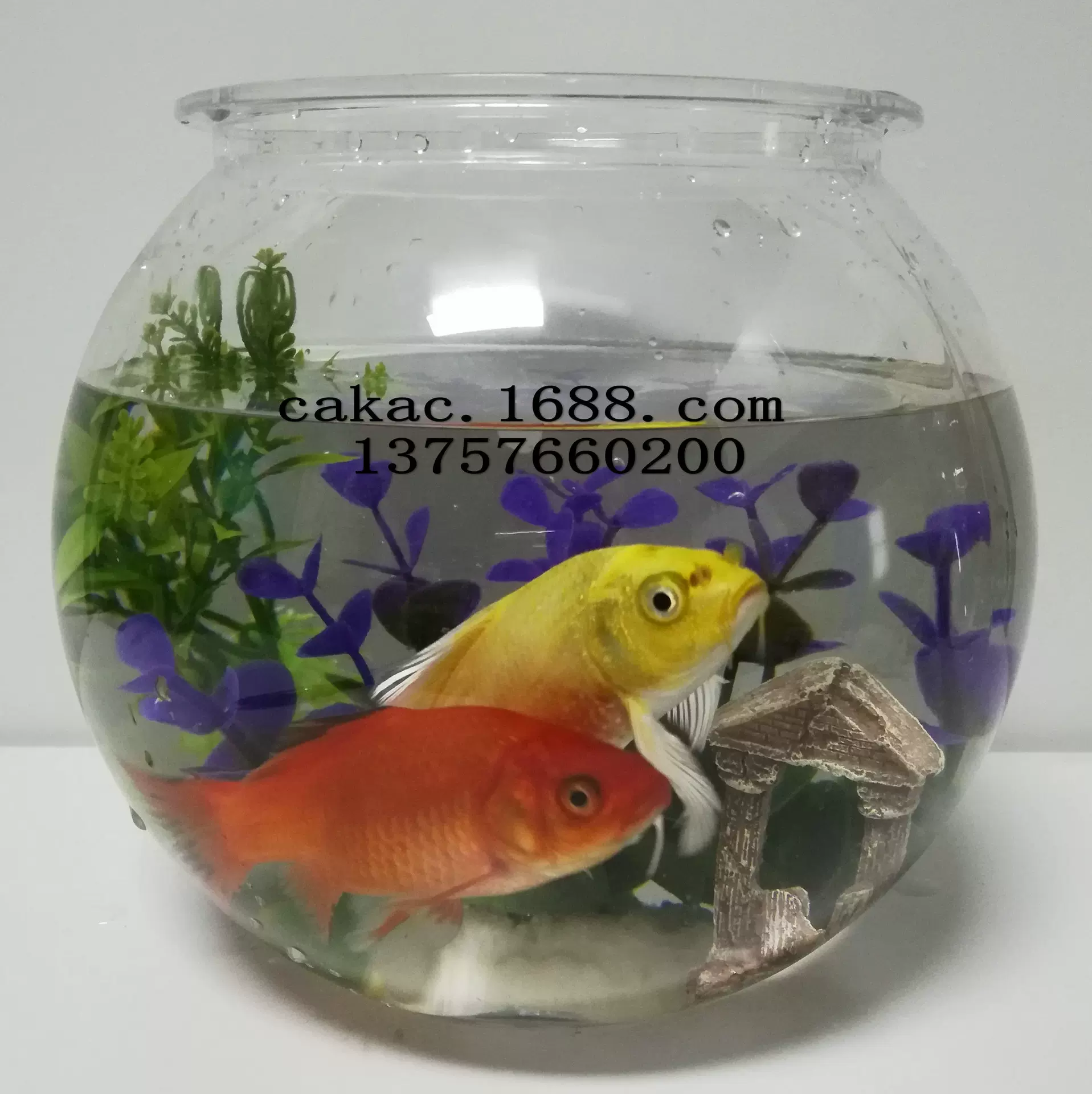 塑料鱼缸4L圆形小金鱼缸 水培花瓶PET球形创意办公室生态鱼缸