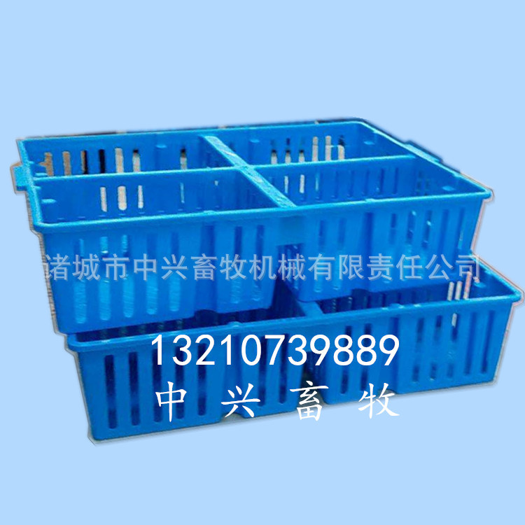 鸡苗塑料箱 运输鸡苗专用筐子 小鸡筐厂家