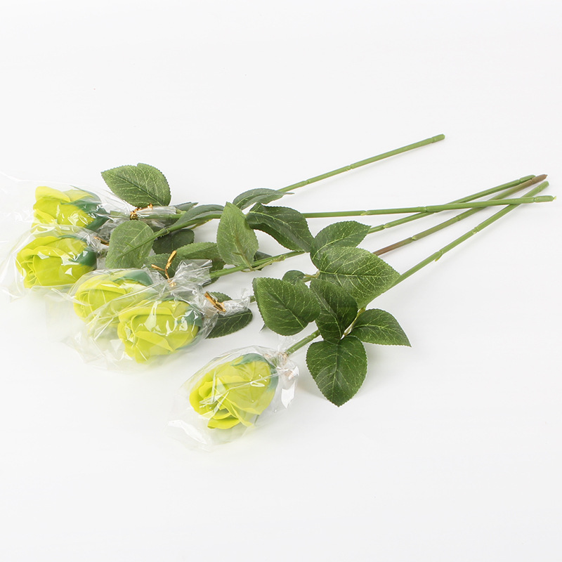 한국어 싱글 ~ 라이트 그린