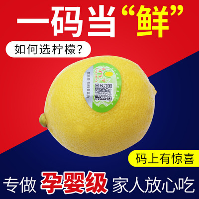 Sichuan Province Anyue Exit lemon fresh fruit Yellow Lemon fresh Juicy On behalf of wholesale
