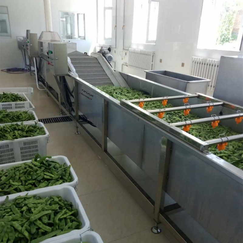 葡萄气泡喷淋清洗机 不锈钢全自动金桔清洗流水线 大型洗水果机器