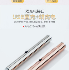 2019 New Green Light Single-Point USB Selling Office Pen Outdoor Camping Indicator Pen Wholesale Manufacturer Direct Sale