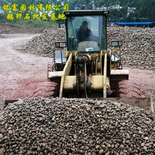 深圳小河石鹅卵石 造园造路小石料 碎石子机制鹅卵石