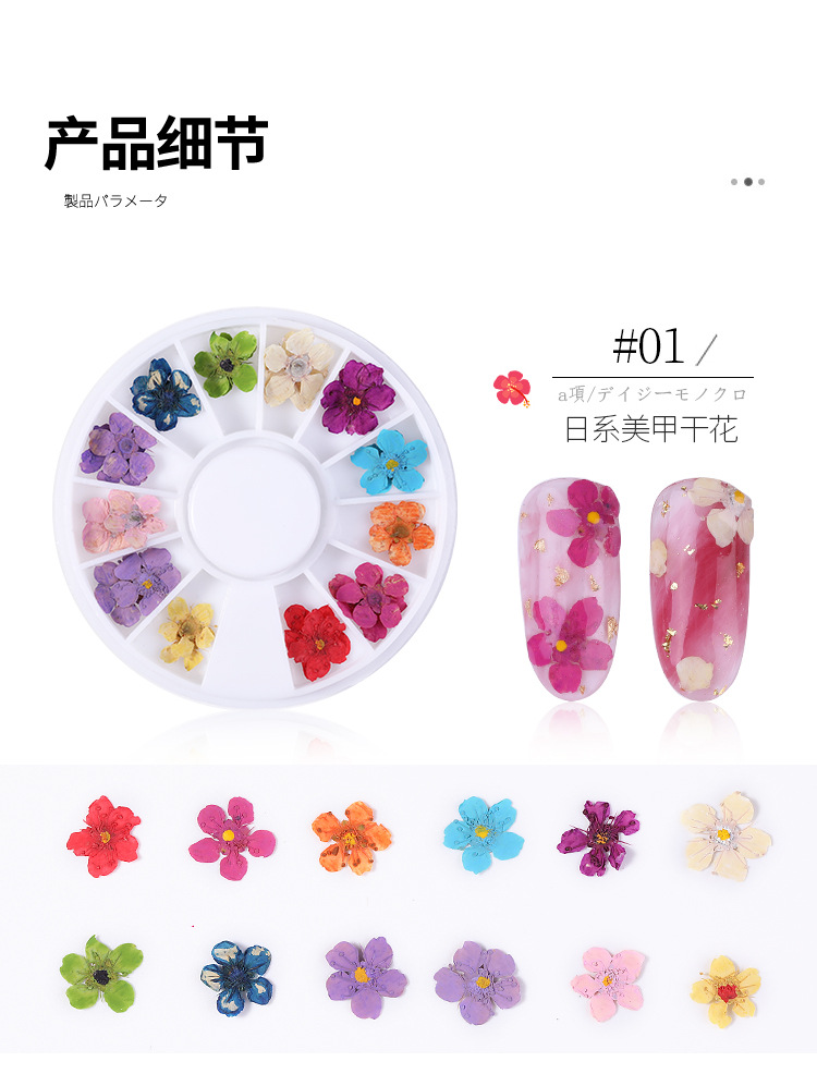 美甲干花 蕾丝干花 水仙花