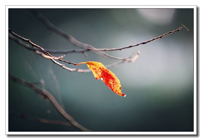 热熔螺母机 热熔螺母机