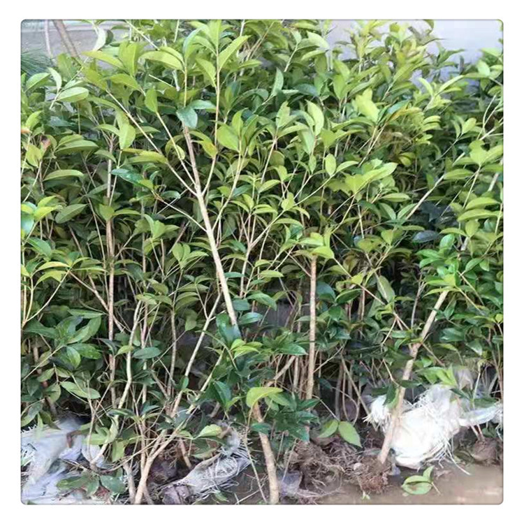 微信图片_20191014103323