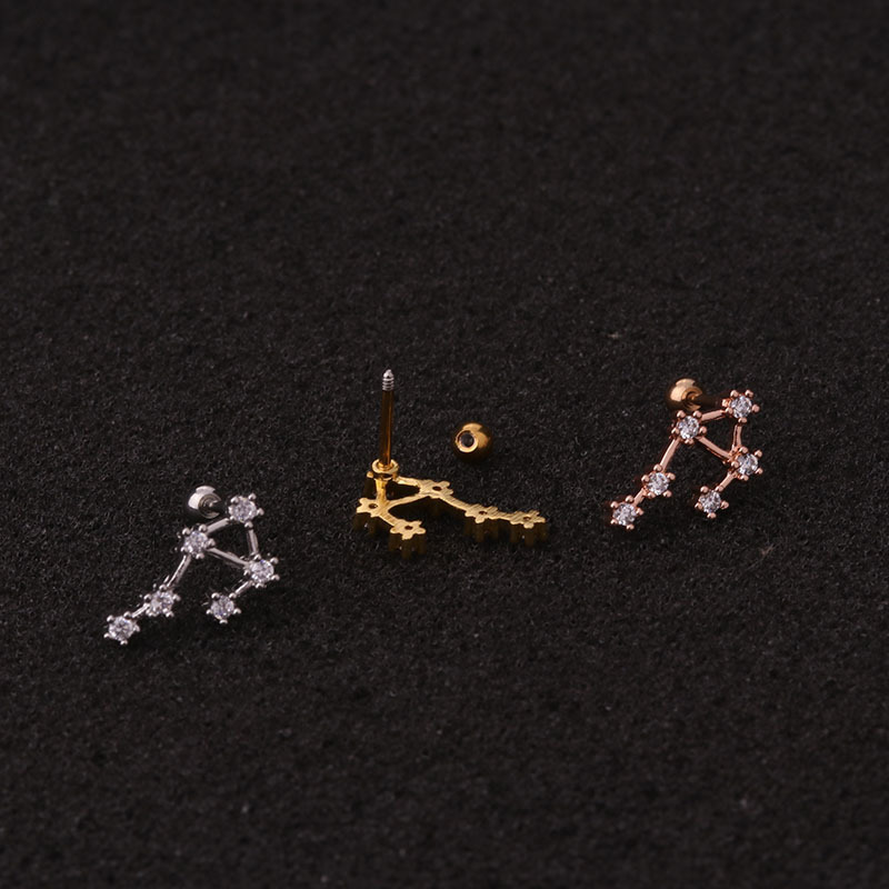 Ear Cartilage Rings & Studs Fashion Constellation 316 Stainless Steel  Copper Inlay Zircon display picture 5