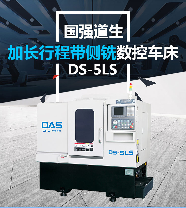 DS-5LS_01