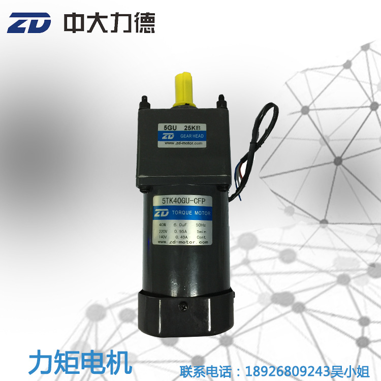 40W 220V力矩电机5TK40GU-CFP-5GU 25KB金属设备专用堵转电机