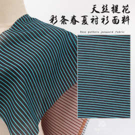 春夏新款条子彩色条纹衬衫面料 锦纶天丝提花布 春夏提花时装布