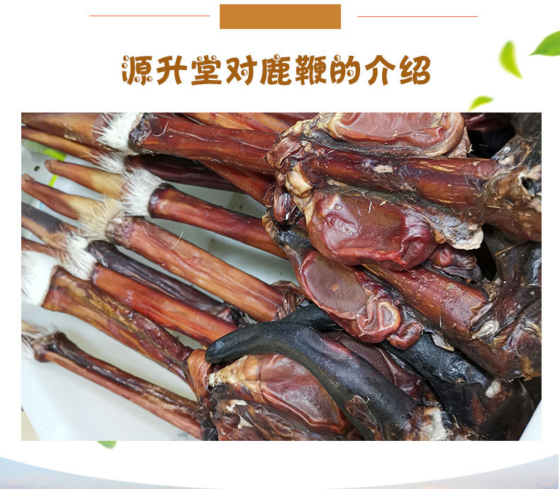 Deer Penis (Cervus elaphus) Whole Branch — Dried TCM Food Herb, Bulk Wholesale key features