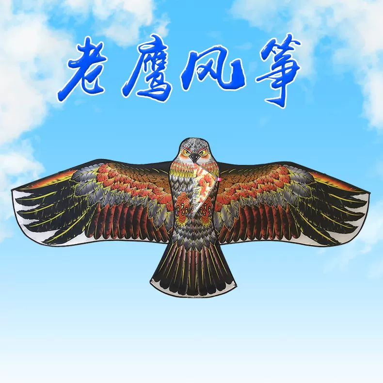 老鹰风筝潍坊风筝新款老鹰风筝手工制作工艺品儿童卡通大小各花色