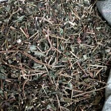 黄花母 黄花母品牌 图片 价格 黄花母批发 阿里巴巴