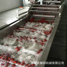 洗大枣清洗机 红枣干枣大枣高压清洗去杂机 多功能鲜枣清洗机厂家