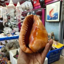 �S��ֱ�N��Ȼ����ؐ�����ݼҾӔ[�����к��b� �Ĵ����� �f����