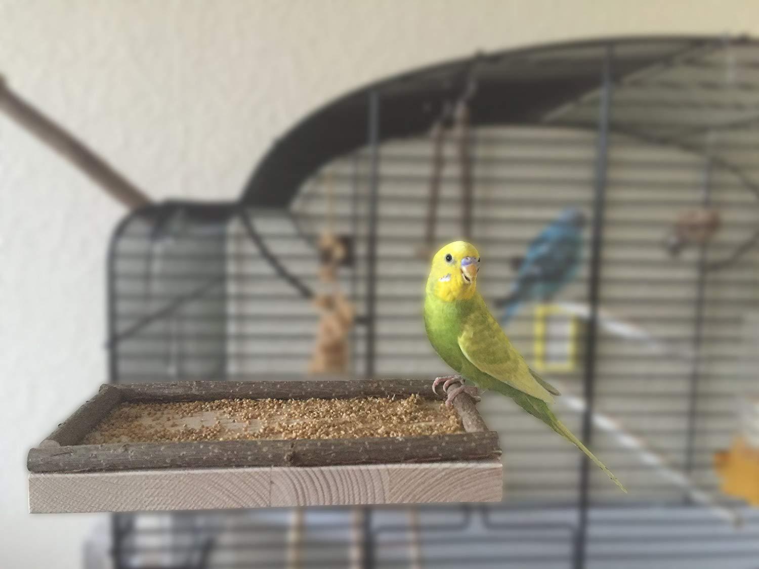 Wooden toy, can bite